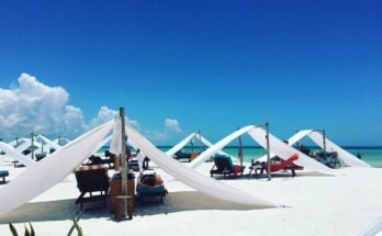 what to do in holbox
