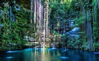 The Best Cenotes in the Riviera Maya
