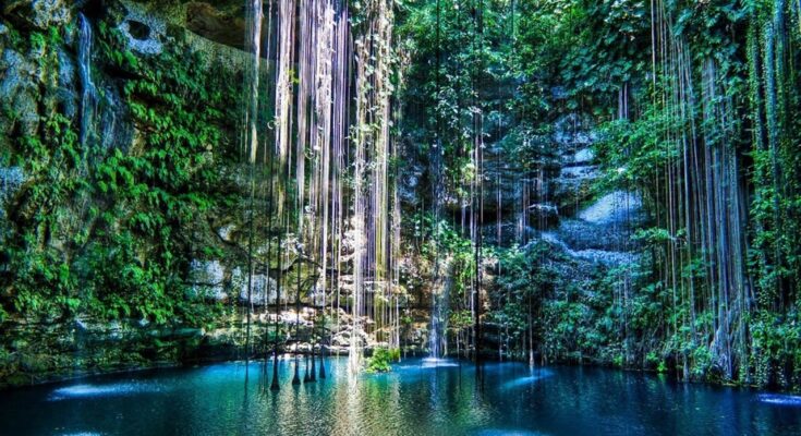 The Best Cenotes in the Riviera Maya