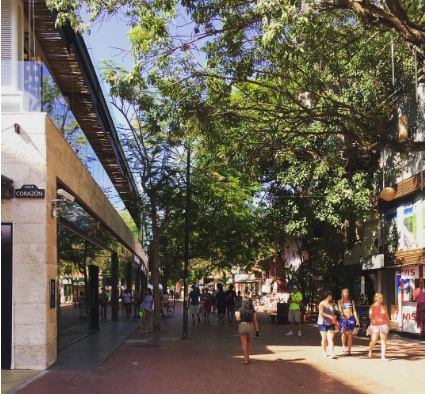 Quinta Avenida