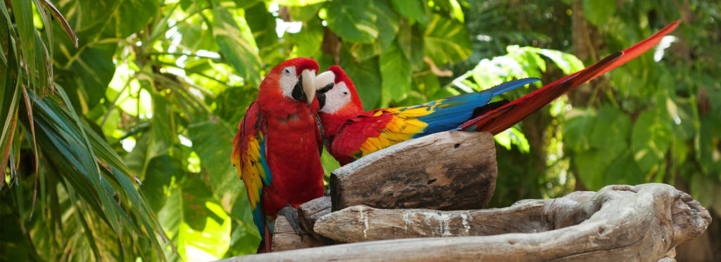 5 Lugares que tienes que conocer en la Riviera Maya