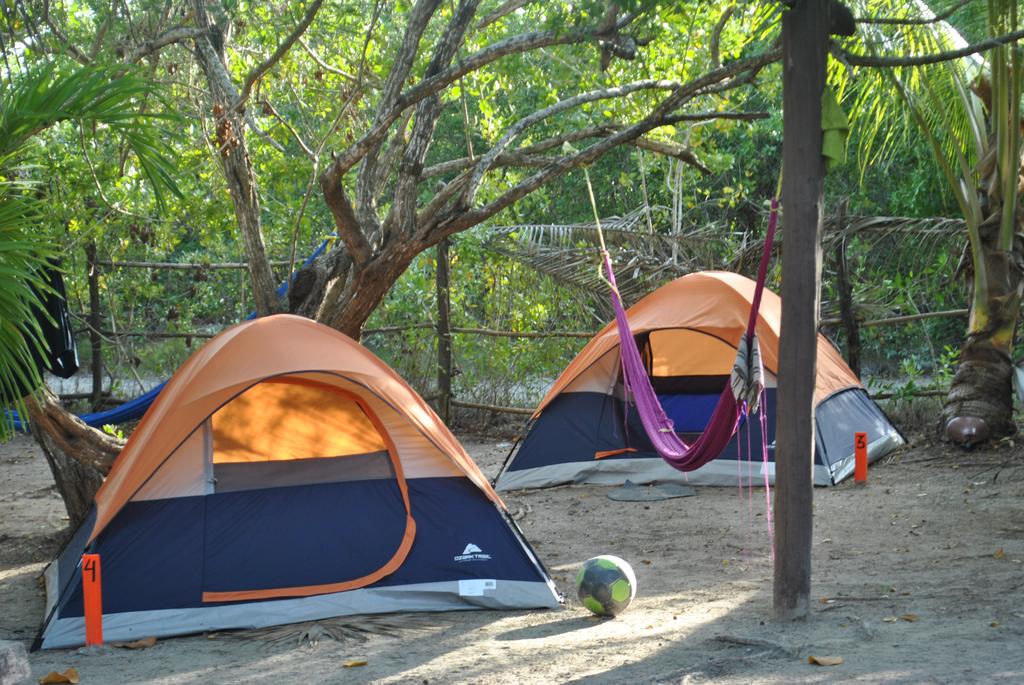 One Love Camp 