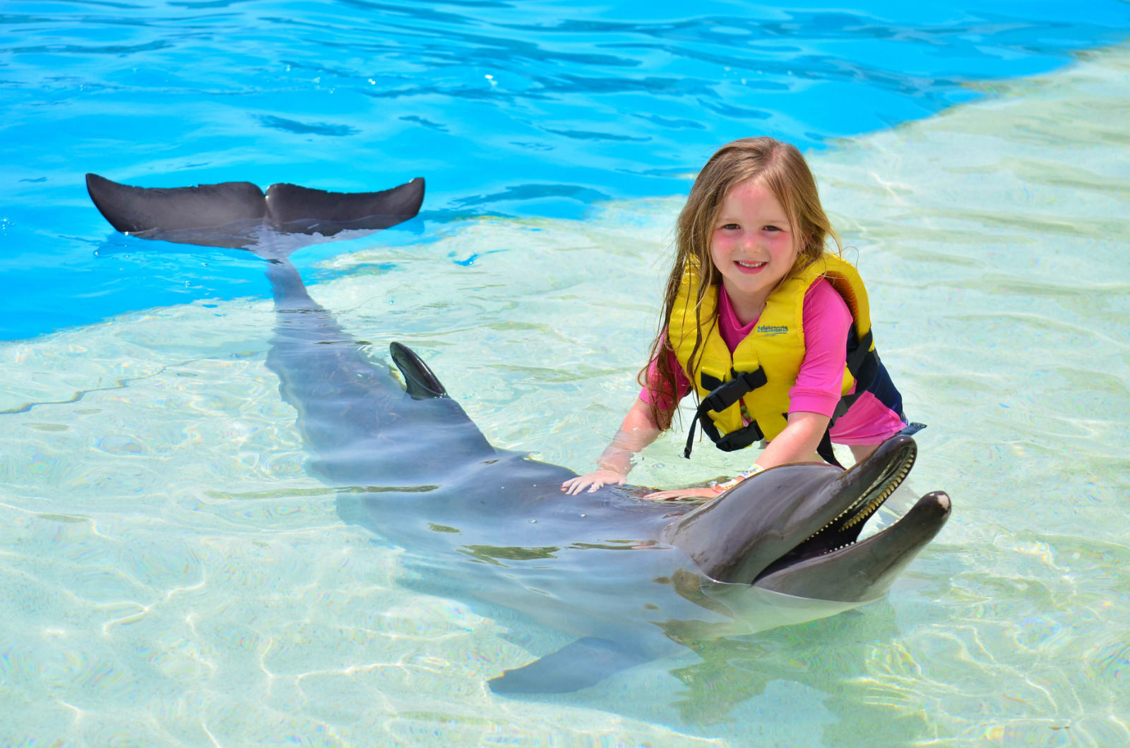 nado con delfines actividades en isla mujeres