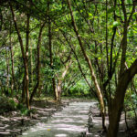 camino ruinas san miguel