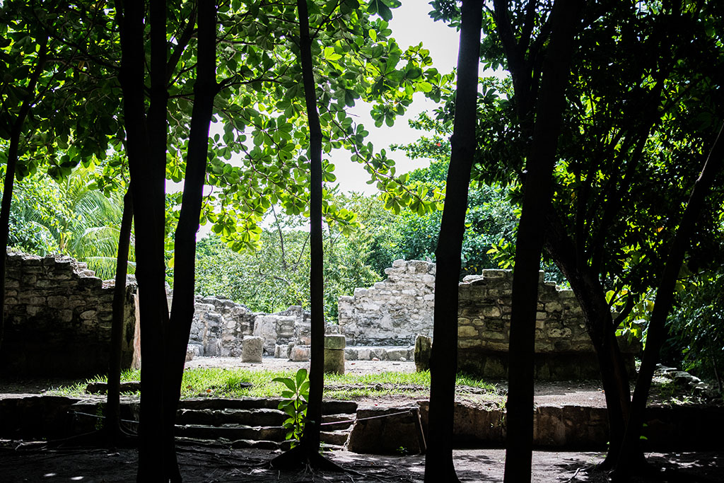 ruinas san miguelito museo maya