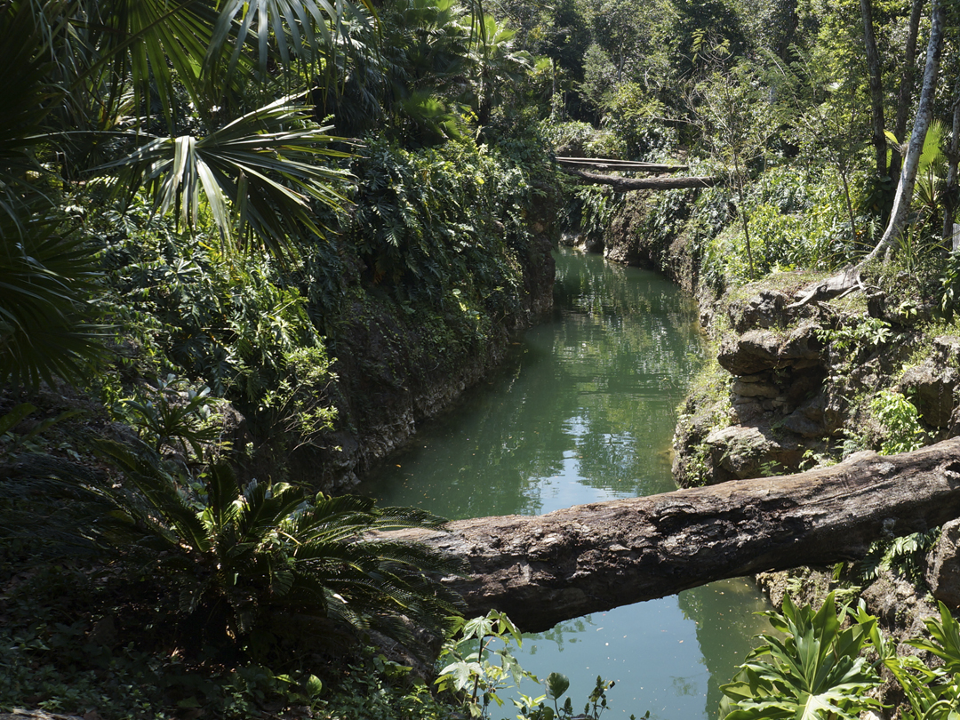 Cenote K’áak’ puerto morelos