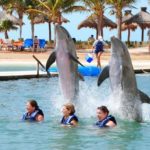 nado con delfines tour familiar cancun