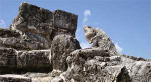 zonas arqueologicas ciudad de cancun