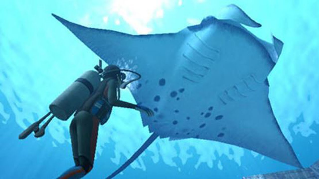 buceo mexico