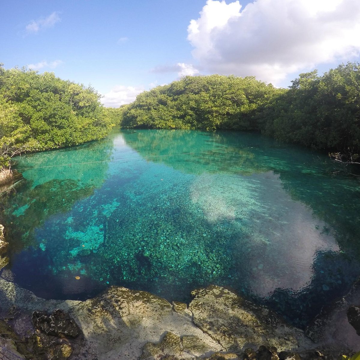 casa cenote tulum