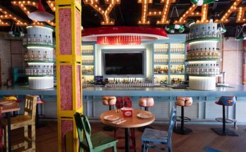 Señor Frogs Official Store