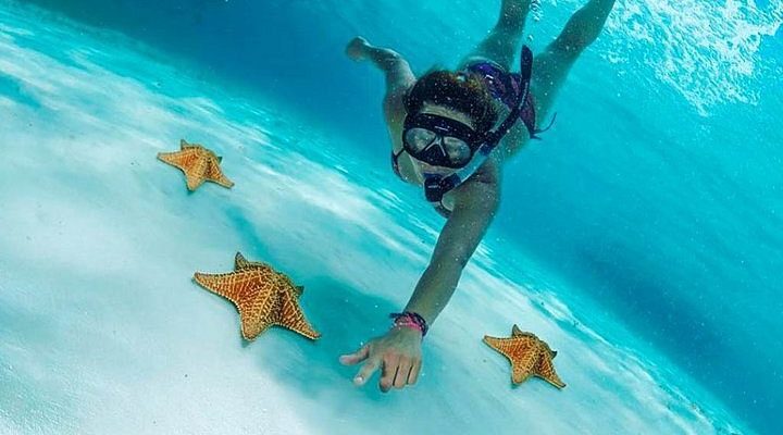 snorkel cozumel