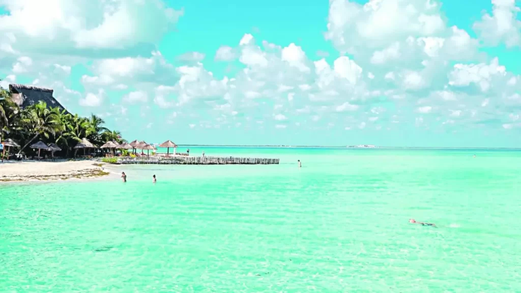 Costa Mujeres se ha consolidado como uno de los destinos turísticos más exclusivos y tranquilos del Caribe Mexicano. Ubicada al norte de Cancún, esta franja costera ofrece una experiencia distinta a la que se encuentra en otras zonas más concurridas de Quintana Roo, gracias a su planeación reciente, su infraestructura hotelera de alta gama y su entorno natural cuidadosamente preservado. Razones para visitar Costa Mujeres Resorts de lujo y todo incluido Costa Mujeres es conocida por albergar algunos de los resorts más exclusivos de la región, muchos de ellos bajo el modelo todo incluido. Estos establecimientos están diseñados para ofrecer privacidad, confort y una experiencia integral, con spas, restaurantes gourmet, campos de golf y servicios personalizados. Ambiente tranquilo y aislado A diferencia de Cancún o Playa del Carmen, Costa Mujeres mantiene un ambiente más relajado y menos saturado. La ausencia de grandes centros comerciales y vida nocturna masiva hace que el destino sea ideal para quienes buscan desconexión, descanso o experiencias más íntimas. Playas de arena blanca y aguas turquesa Las playas de Costa Mujeres conservan la belleza natural característica del Caribe mexicano: arenas finas, aguas poco profundas y tonalidades turquesa. Su ubicación protegida permite disfrutar del mar con oleaje suave, perfecto para nadar o simplemente relajarse frente al mar. Cercanía con Cancún, pero sin el bullicio Costa Mujeres se encuentra a solo 10–15 km del centro de Cancún, lo que permite tener acceso a servicios urbanos si se desea, sin estar inmerso en el ritmo acelerado de la ciudad. Esta cercanía también facilita la llegada desde el Aeropuerto Internacional de Cancún, con traslados que toman aproximadamente 30 minutos. Turismo responsable y conservación ecológica El desarrollo de Costa Mujeres ha seguido una línea de planeación turística enfocada en la sostenibilidad. Muchas de las propiedades cuentan con certificaciones ambientales, y la región protege áreas de manglar, duna costera y vida silvestre. Ideal para lunas de miel, bodas y escapadas románticas Gracias a su atmósfera serena, sus hoteles especializados en experiencias de pareja y sus paisajes naturales, Costa Mujeres es uno de los destinos favoritos para viajes románticos, celebraciones íntimas y estancias especiales. En resumen, Costa Mujeres es una excelente opción para quienes desean un viaje relajante, exclusivo y rodeado de naturaleza, con servicios de primer nivel y un entorno seguro y cuidadosamente planeado.